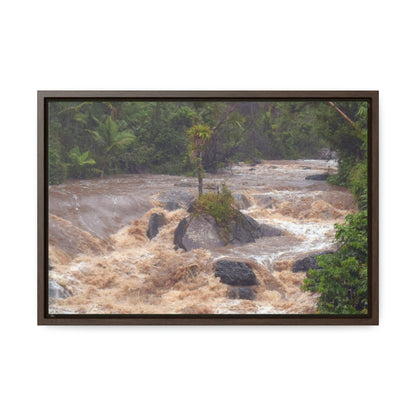 Horizontal Framed Premium Gallery Wrap Canvas - The Rio Sabana river and park in a flood - El Yunque rainforest PR - No7 - Green Forest Home