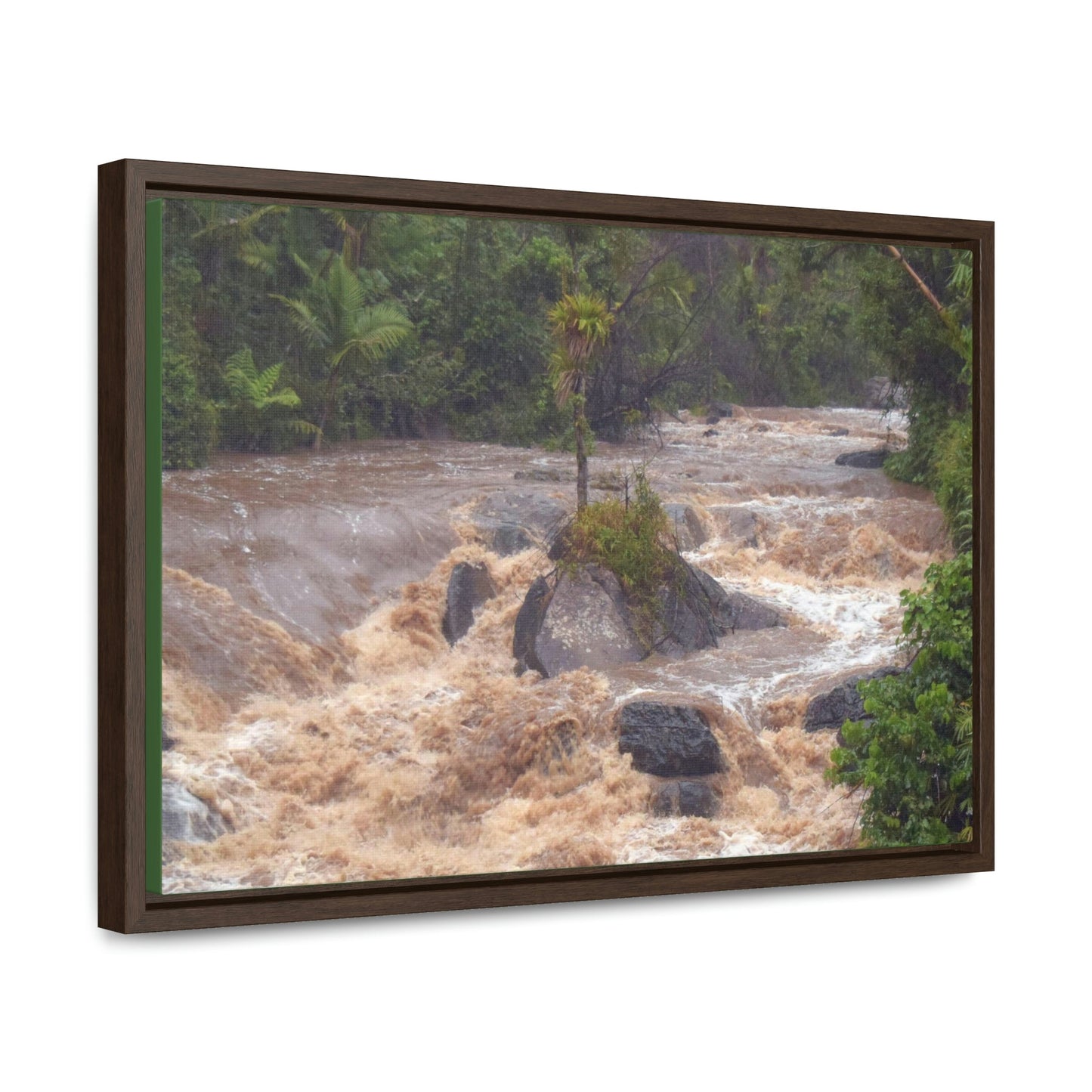 Horizontal Framed Premium Gallery Wrap Canvas - The Rio Sabana river and park in a flood - El Yunque rainforest PR - No7 - Green Forest Home