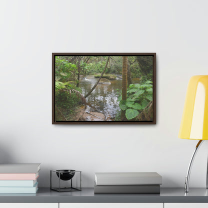 Horizontal Framed Premium Gallery Wrap Canvas - The Rio Sabana river - upper sections after Hurr. Maria - El Yunque rainforest PR - No3 - Green Forest Home