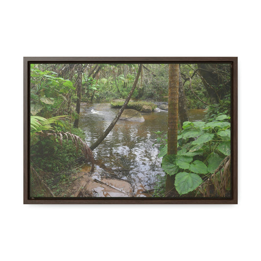 Horizontal Framed Premium Gallery Wrap Canvas - The Rio Sabana river - upper sections after Hurr. Maria - El Yunque rainforest PR - No3 - Green Forest Home