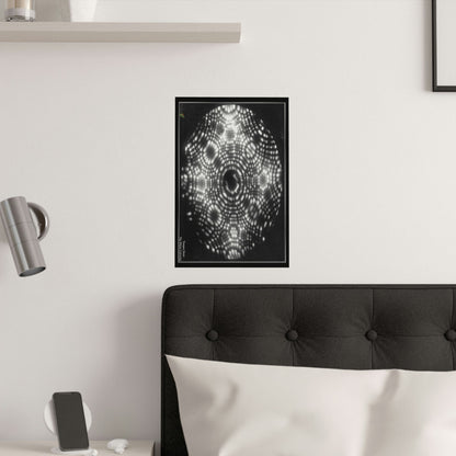 Low cost quality Posters - The Micro-Universe - Field Ion Microscope - Historic images of the ATOM! - Green Forest Home