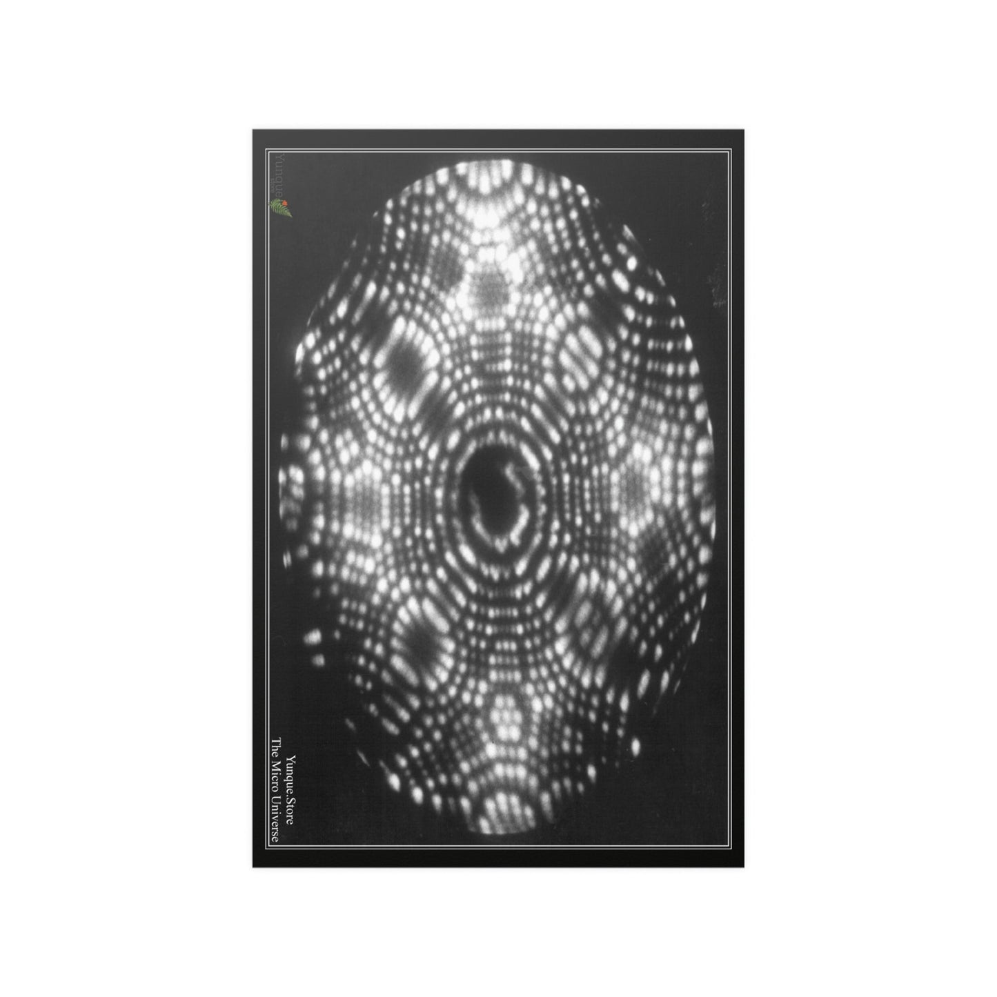 Low cost quality Posters - The Micro-Universe - Field Ion Microscope - Historic images of the ATOM! - Green Forest Home