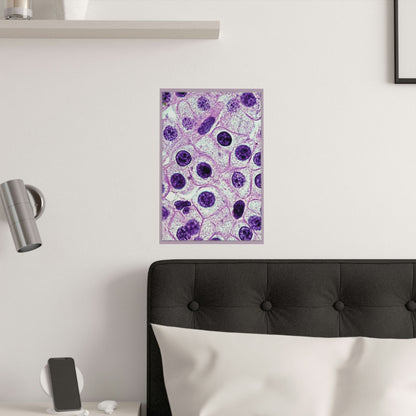 Low cost quality Posters - The Micro-Universe - Field Ion Microscope - HUMAN skin cells - Green Forest Home