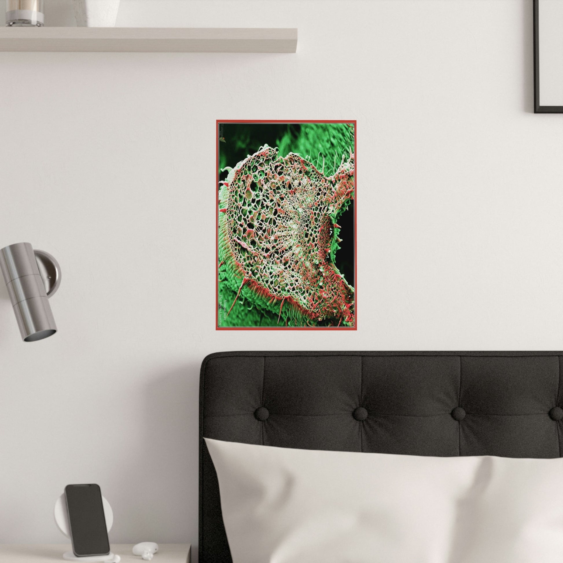 Low quality cost Posters - The Micro-Universe - Field Ion Microscope - HEMP plant stem! - Green Forest Home