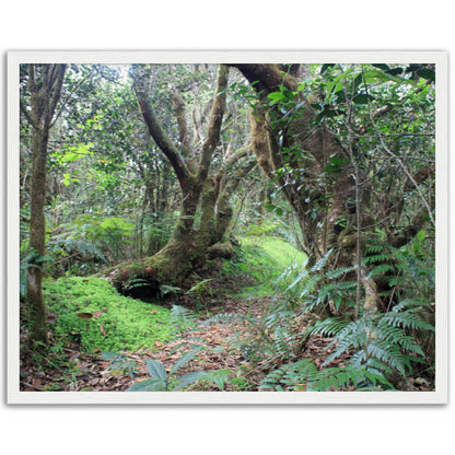 Museum-Quality Matte Paper Wooden Framed Poster - Paradise in El Yunque Rainforest Tradewinds Trail - Green Forest Home