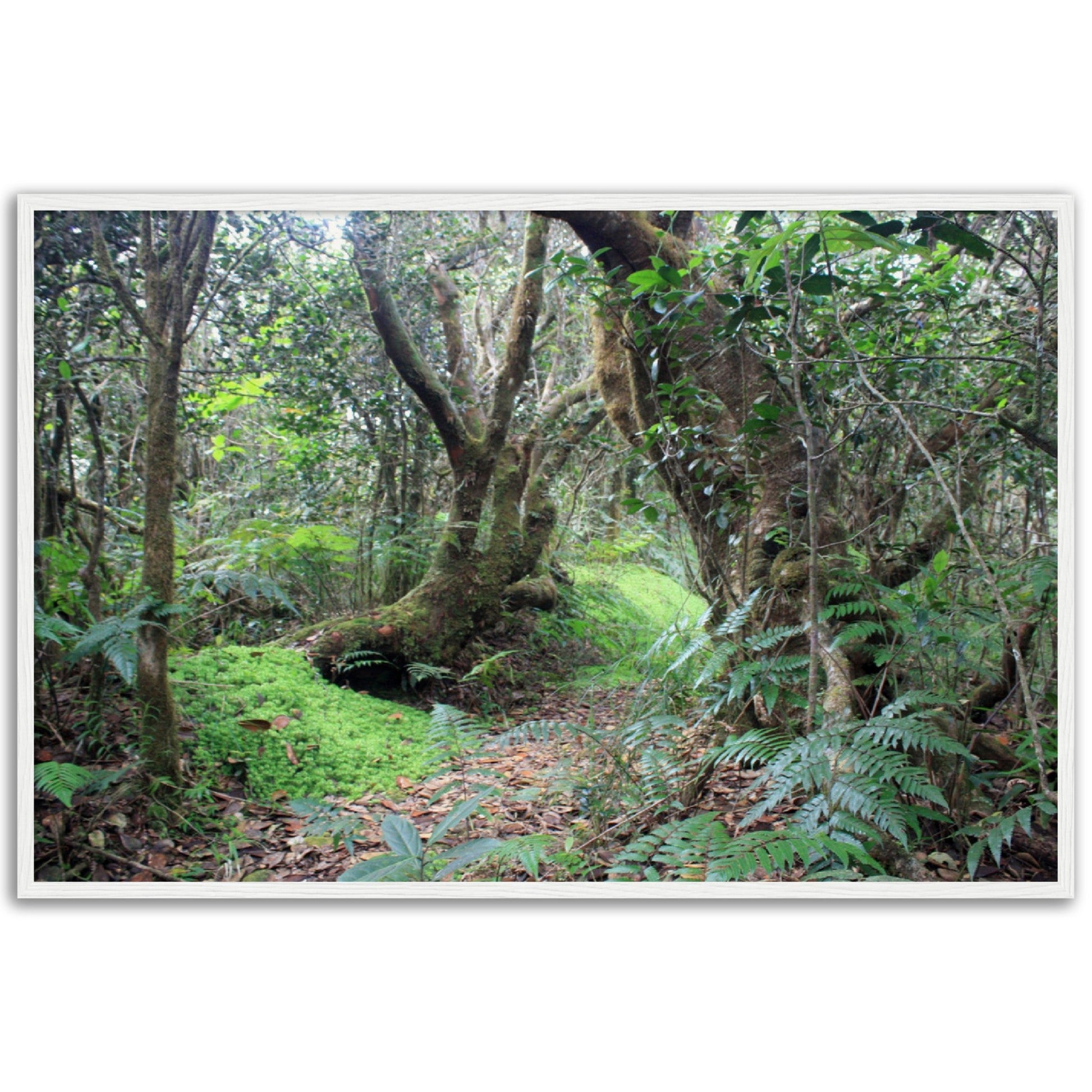 Museum-Quality Matte Paper Wooden Framed Poster - Paradise in El Yunque Rainforest Tradewinds Trail - Green Forest Home