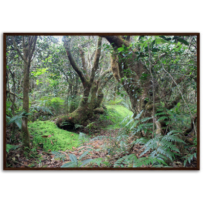Museum-Quality Matte Paper Wooden Framed Poster - Paradise in El Yunque Rainforest Tradewinds Trail - Green Forest Home
