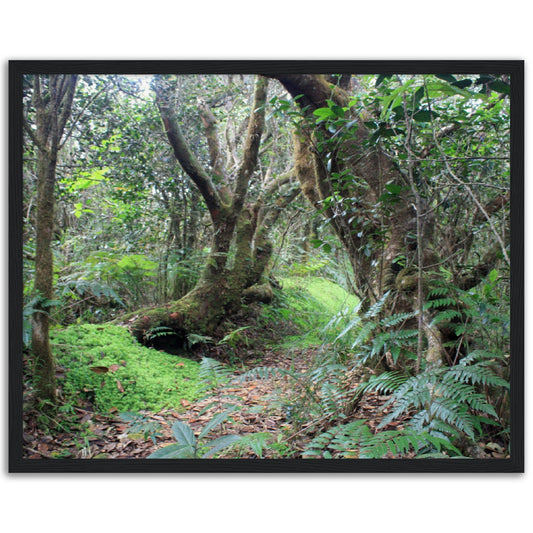 Museum-Quality Matte Paper Wooden Framed Poster - Paradise in El Yunque Rainforest Tradewinds Trail - Green Forest Home