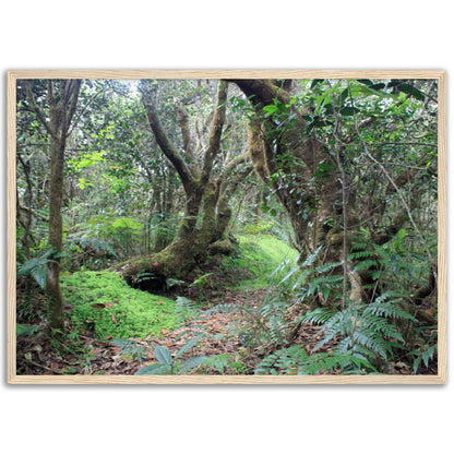 Museum-Quality Matte Paper Wooden Framed Poster - Paradise in El Yunque Rainforest Tradewinds Trail - Green Forest Home