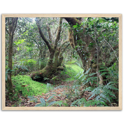 Museum-Quality Matte Paper Wooden Framed Poster - Paradise in El Yunque Rainforest Tradewinds Trail - Green Forest Home