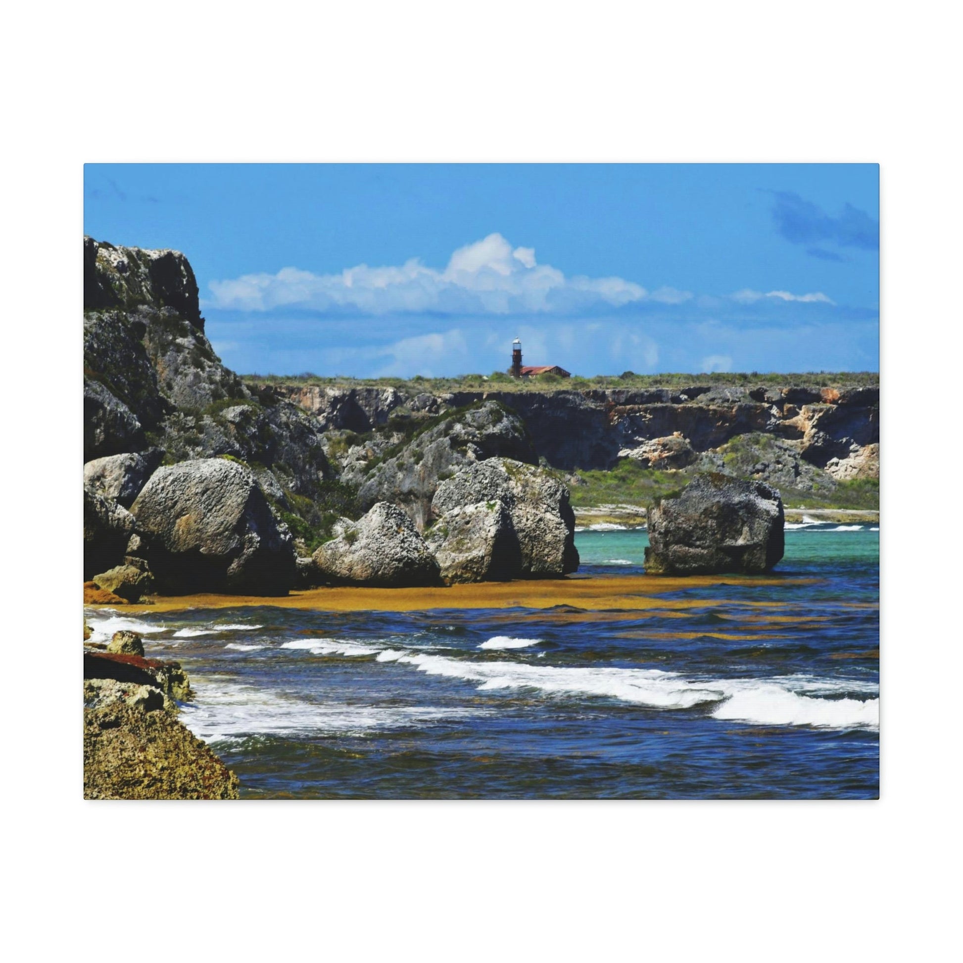 Out of this world - Mona Island off Puerto Rico - the Galapagos of the Caribbean - Exciting Pajaros beach - Green Forest Home