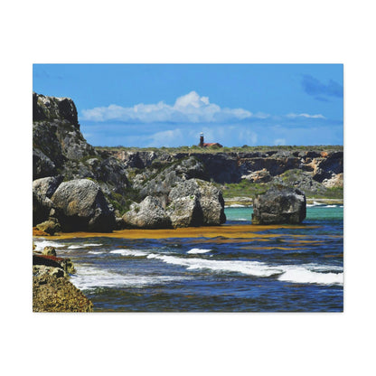 Out of this world - Mona Island off Puerto Rico - the Galapagos of the Caribbean - Exciting Pajaros beach - Green Forest Home