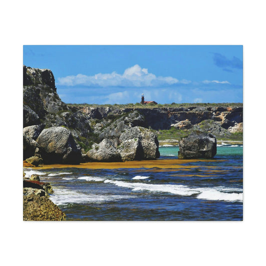 Out of this world - Mona Island off Puerto Rico - the Galapagos of the Caribbean - Exciting Pajaros beach - Green Forest Home
