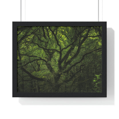 Premium Framed Horizontal Poster - Consall Valley. Vibrant green moody, ethereal UK forest woodland trees, and foliage - UK EUROPE - Green Forest Home