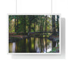 Premium Framed Horizontal Poster - Printed in LATVIA - Autumn colours on the Black Water in the New Forest National park, Hampshire, UK - Green Forest Home
