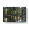 Premium Framed Horizontal Poster - Printed in LATVIA - Autumn colours on the Black Water in the New Forest National park, Hampshire, UK - Green Forest Home