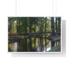 Premium Framed Horizontal Poster - Printed in LATVIA - Autumn colours on the Black Water in the New Forest National park, Hampshire, UK - Green Forest Home
