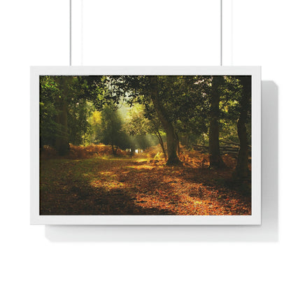 Premium Framed Horizontal - Printed in LATVIA - New Forest National park, Hampshire, UK - such a dreamy place! - Green Forest Home