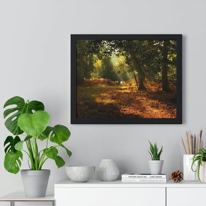 Premium Framed Horizontal - Printed in LATVIA - New Forest National park, Hampshire, UK - such a dreamy place! - Green Forest Home