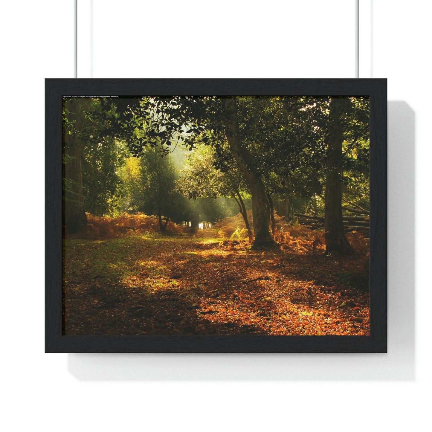 Premium Framed Horizontal - Printed in LATVIA - New Forest National park, Hampshire, UK - such a dreamy place! - Green Forest Home