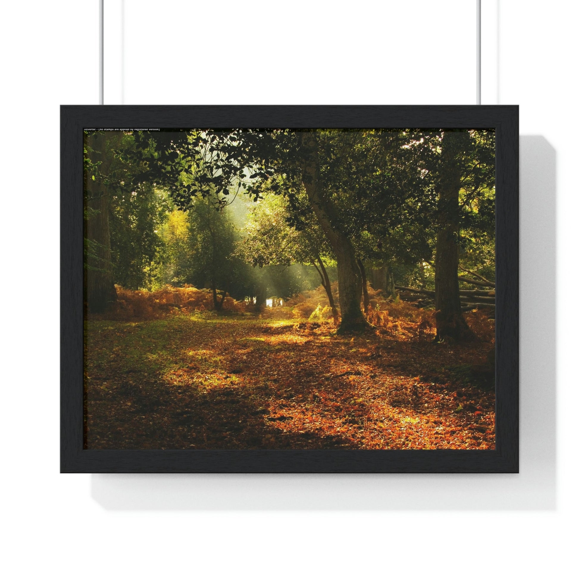 Premium Framed Horizontal - Printed in LATVIA - New Forest National park, Hampshire, UK - such a dreamy place! - Green Forest Home