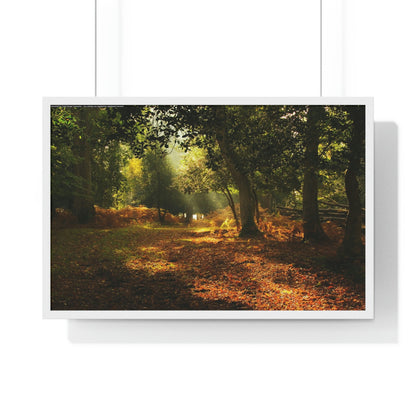 Premium Framed Horizontal - Printed in LATVIA - New Forest National park, Hampshire, UK - such a dreamy place! - Green Forest Home