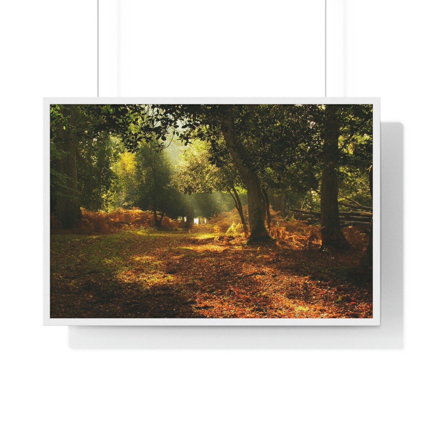 Premium Framed Horizontal - Printed in LATVIA - New Forest National park, Hampshire, UK - such a dreamy place! - Green Forest Home