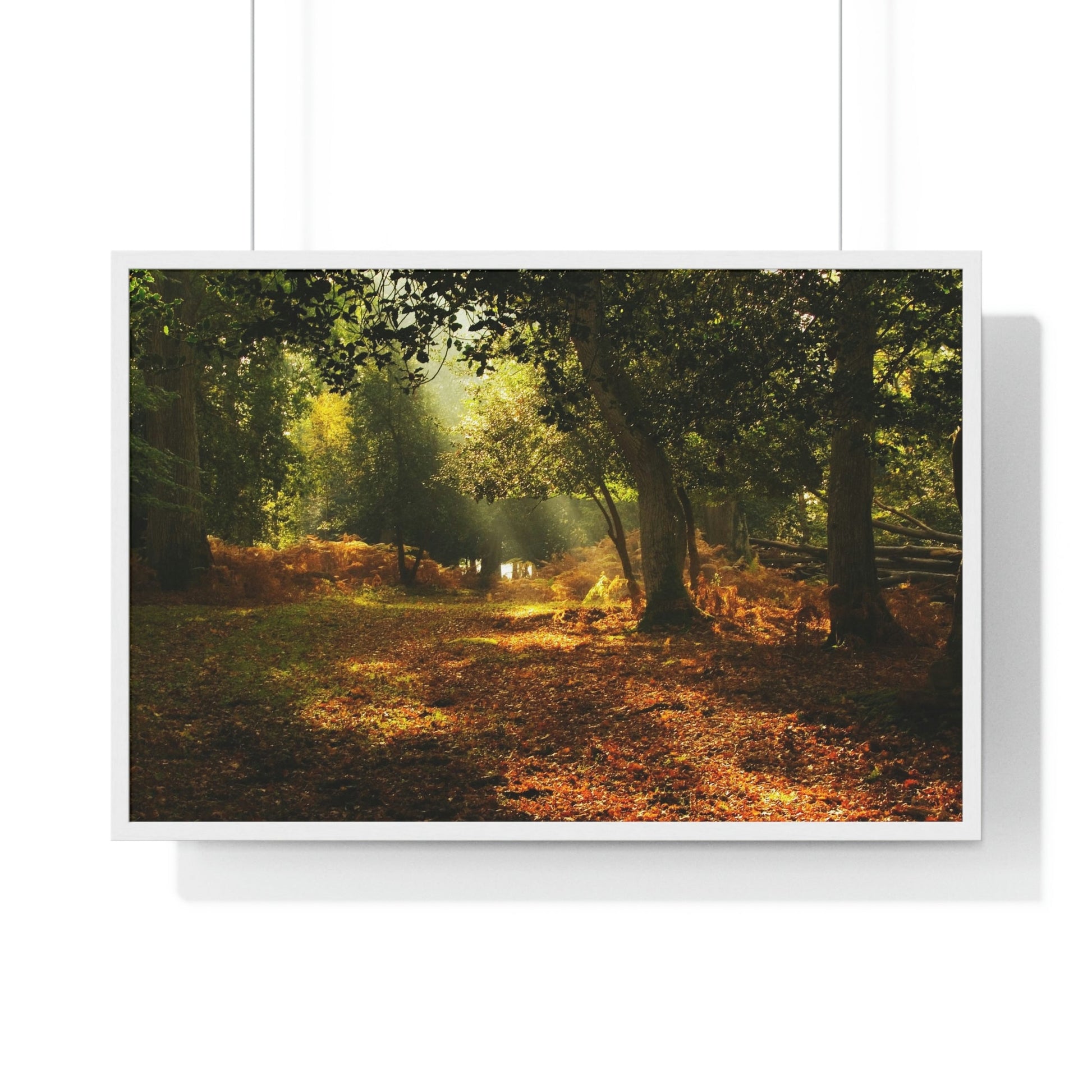 Premium Framed Horizontal - Printed in LATVIA - New Forest National park, Hampshire, UK - such a dreamy place! - Green Forest Home
