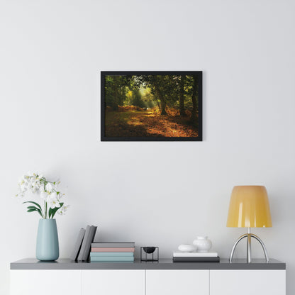 Premium Framed Horizontal - Printed in LATVIA - New Forest National park, Hampshire, UK - such a dreamy place! - Green Forest Home