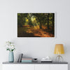 Premium Framed Horizontal - Printed in LATVIA - New Forest National park, Hampshire, UK - such a dreamy place! - Green Forest Home