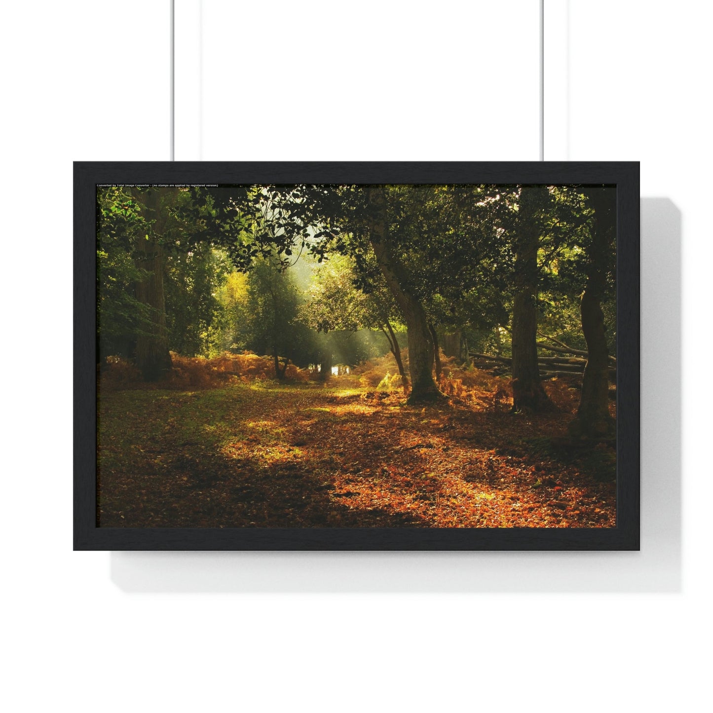 Premium Framed Horizontal - Printed in LATVIA - New Forest National park, Hampshire, UK - such a dreamy place! - Green Forest Home