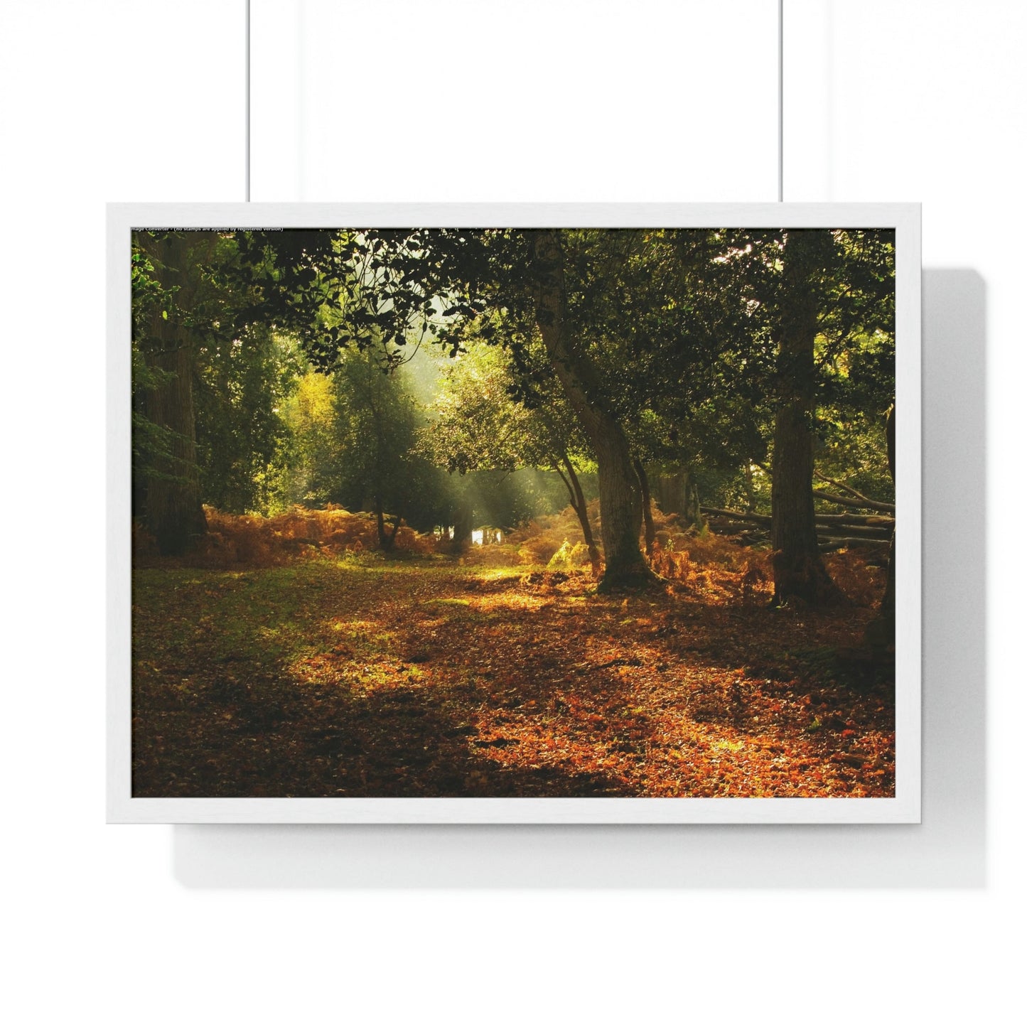 Premium Framed Horizontal - Printed in LATVIA - New Forest National park, Hampshire, UK - such a dreamy place! - Green Forest Home