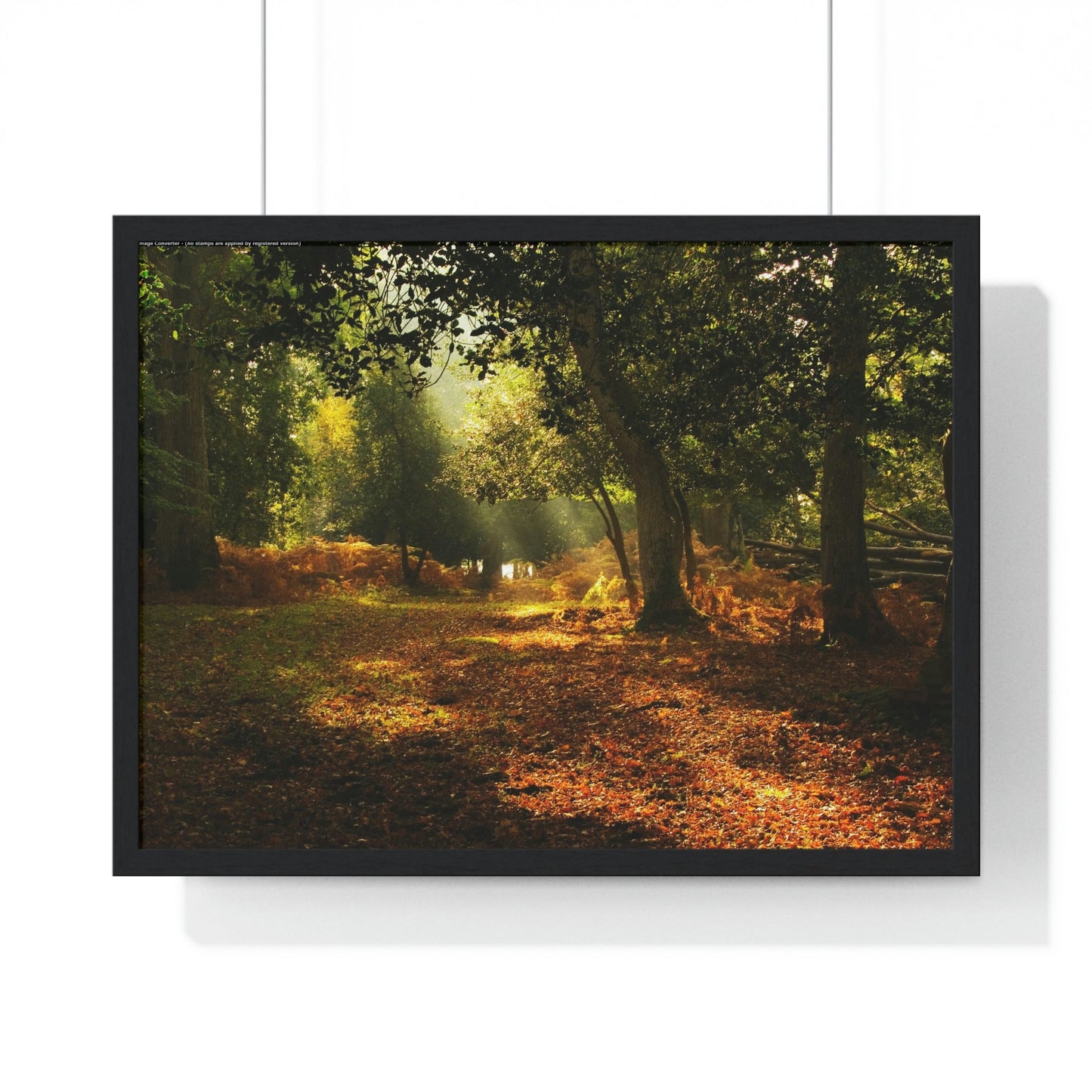 Premium Framed Horizontal - Printed in LATVIA - New Forest National park, Hampshire, UK - such a dreamy place! - Green Forest Home