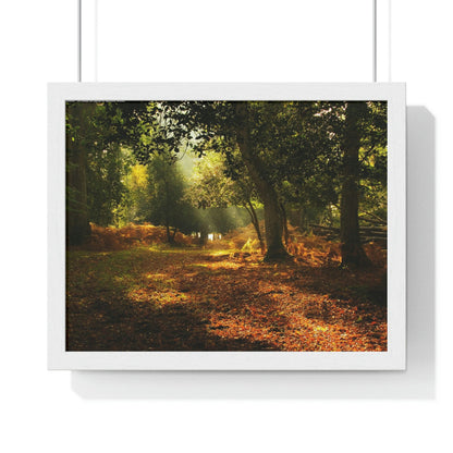 Premium Framed Horizontal - Printed in LATVIA - New Forest National park, Hampshire, UK - such a dreamy place! - Green Forest Home