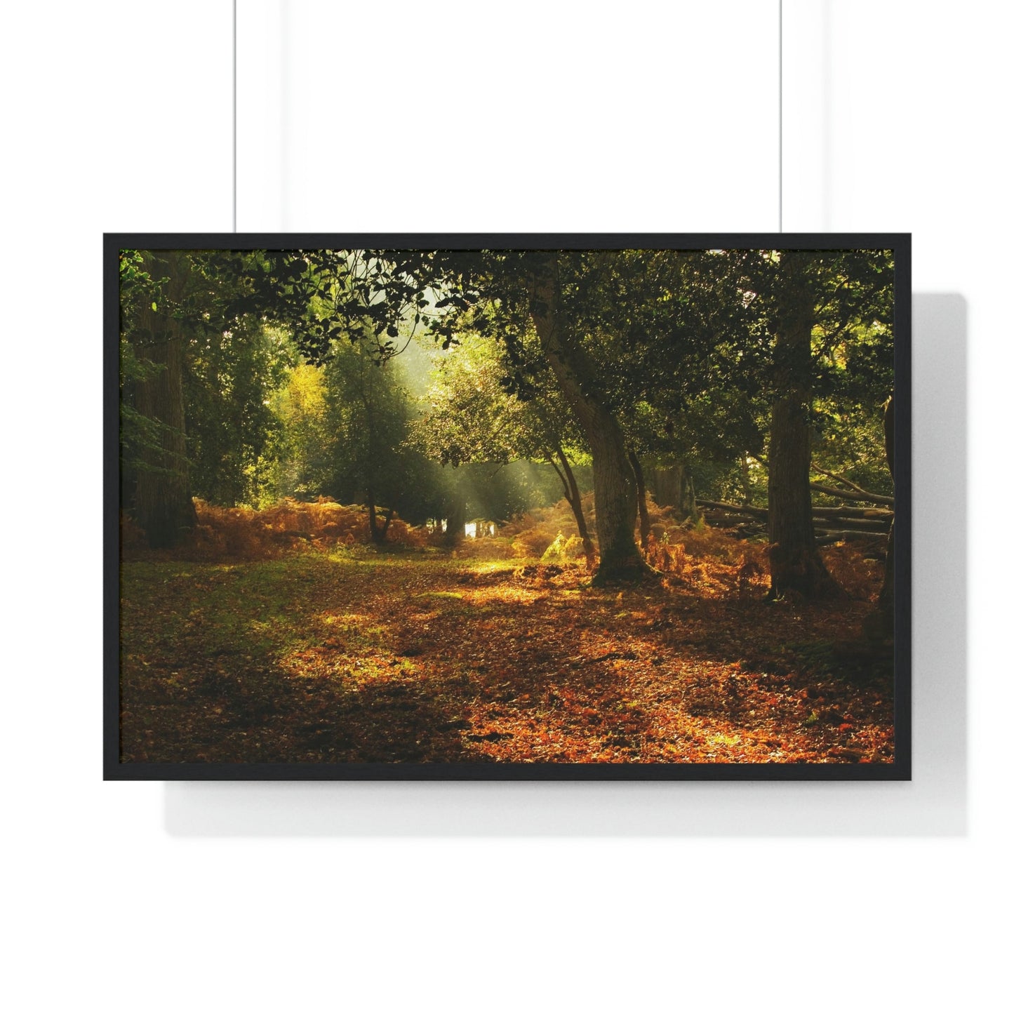 Premium Framed Horizontal - Printed in LATVIA - New Forest National park, Hampshire, UK - such a dreamy place! - Green Forest Home
