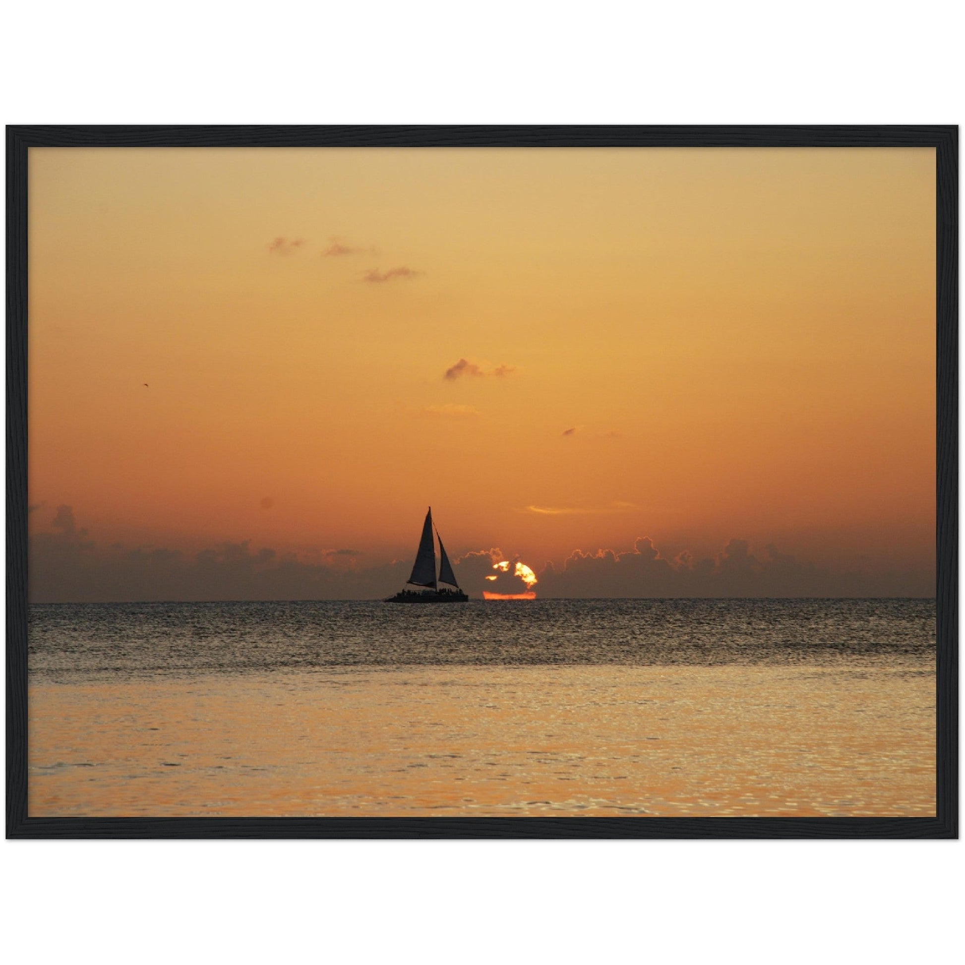 Premium Matte Paper Wooden Framed Poster - The Cayman Islands - British overseas territory in the Caribbean Sea - Green Forest Home