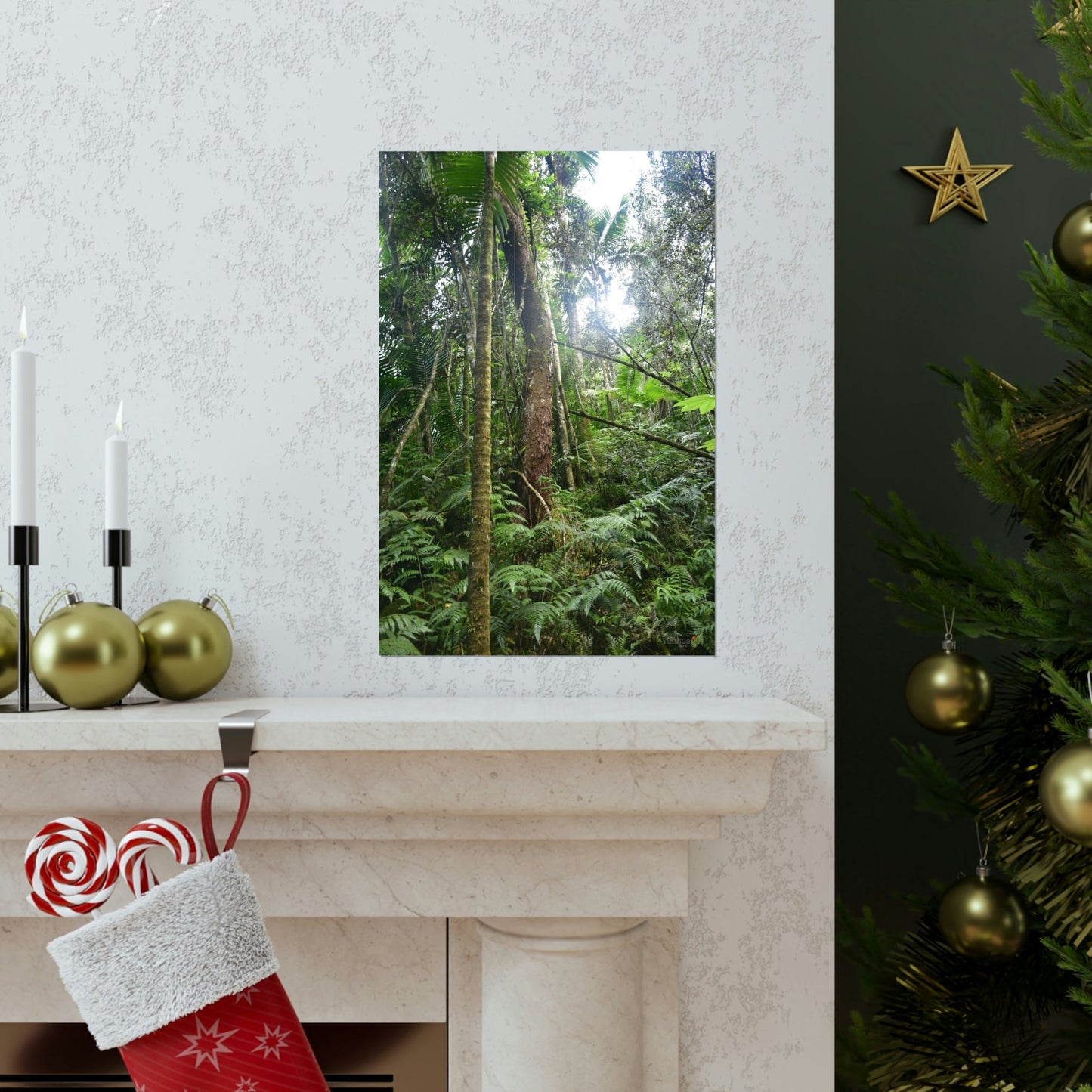 Premium Matte vertical posters - ﻿Bring home the most remote rarely-seen regions of the rainforest in Puerto Rico - El Toro Wilderness - Green Forest Home