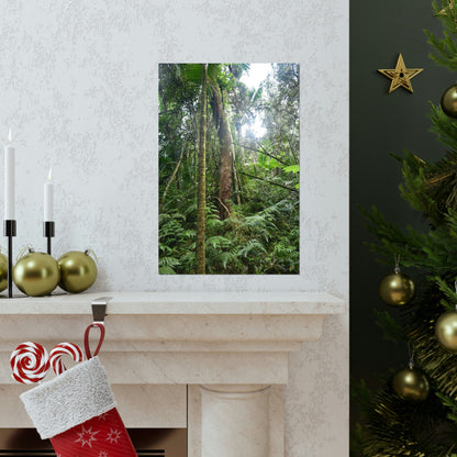 Premium Matte vertical posters - ﻿Bring home the most remote rarely-seen regions of the rainforest in Puerto Rico - El Toro Wilderness - Green Forest Home