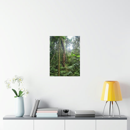Premium Matte vertical posters - ﻿Bring home the most remote rarely-seen regions of the rainforest in Puerto Rico - El Toro Wilderness - Green Forest Home