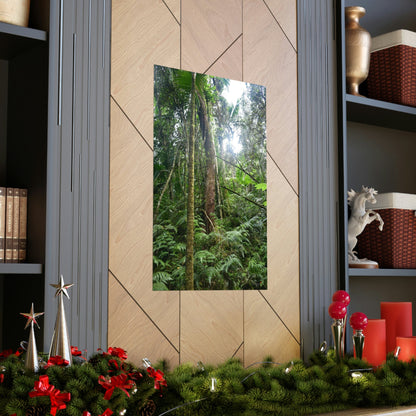 Premium Matte vertical posters - ﻿Bring home the most remote rarely-seen regions of the rainforest in Puerto Rico - El Toro Wilderness - Green Forest Home