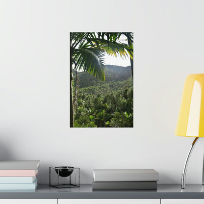 Premium Matte vertical posters - ﻿Bring home the most remote rarely-seen regions of the rainforest in Puerto Rico - El Toro Wilderness - Green Forest Home