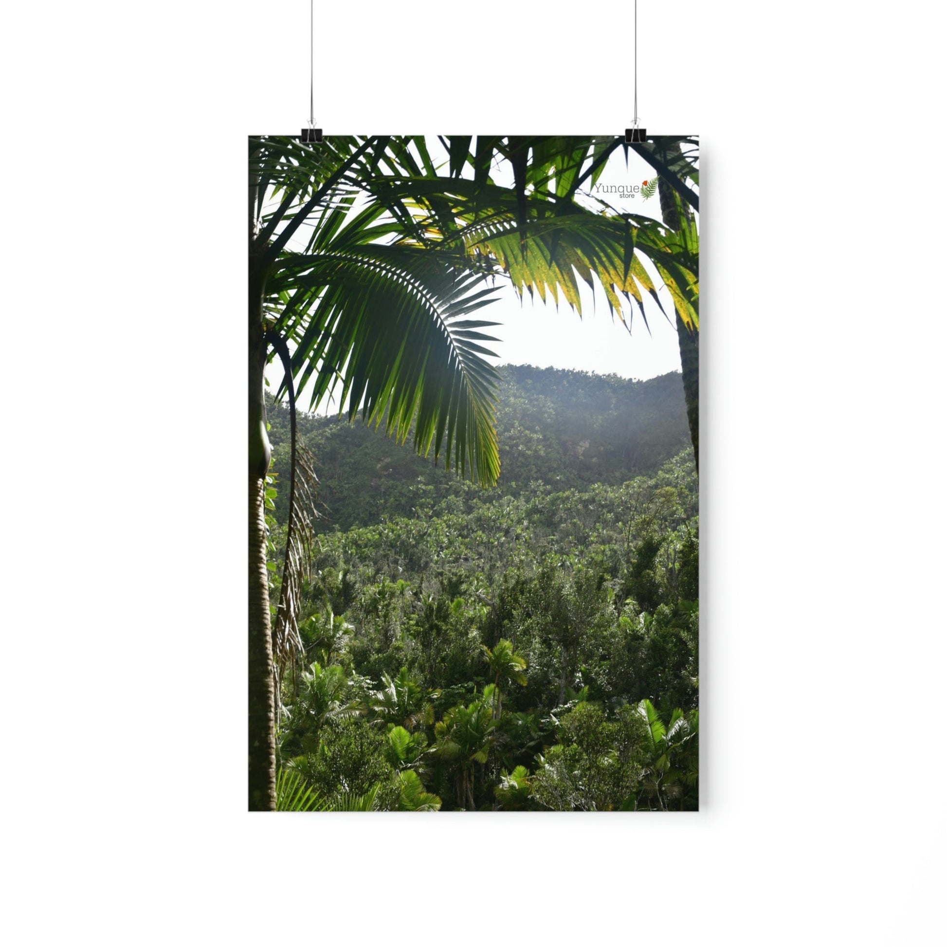 Premium Matte vertical posters - ﻿Bring home the most remote rarely-seen regions of the rainforest in Puerto Rico - El Toro Wilderness - Green Forest Home