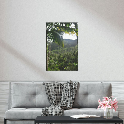 Premium Matte vertical posters - ﻿Bring home the most remote rarely-seen regions of the rainforest in Puerto Rico - El Toro Wilderness - Green Forest Home