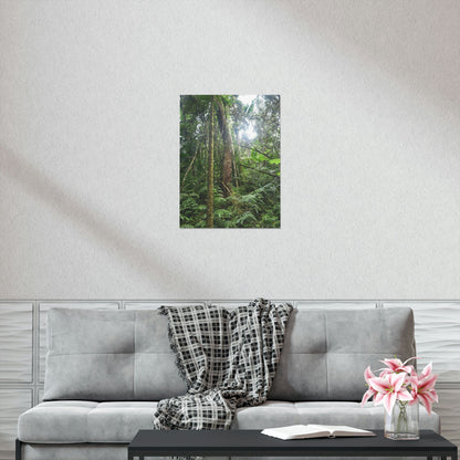 Premium Matte vertical posters - ﻿Bring home the most remote rarely-seen regions of the rainforest in Puerto Rico - El Toro Wilderness - Green Forest Home