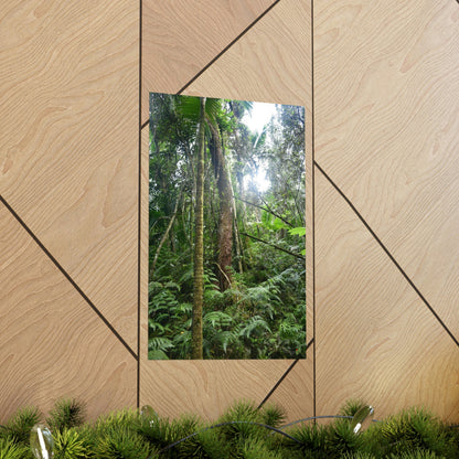 Premium Matte vertical posters - ﻿Bring home the most remote rarely-seen regions of the rainforest in Puerto Rico - El Toro Wilderness - Green Forest Home