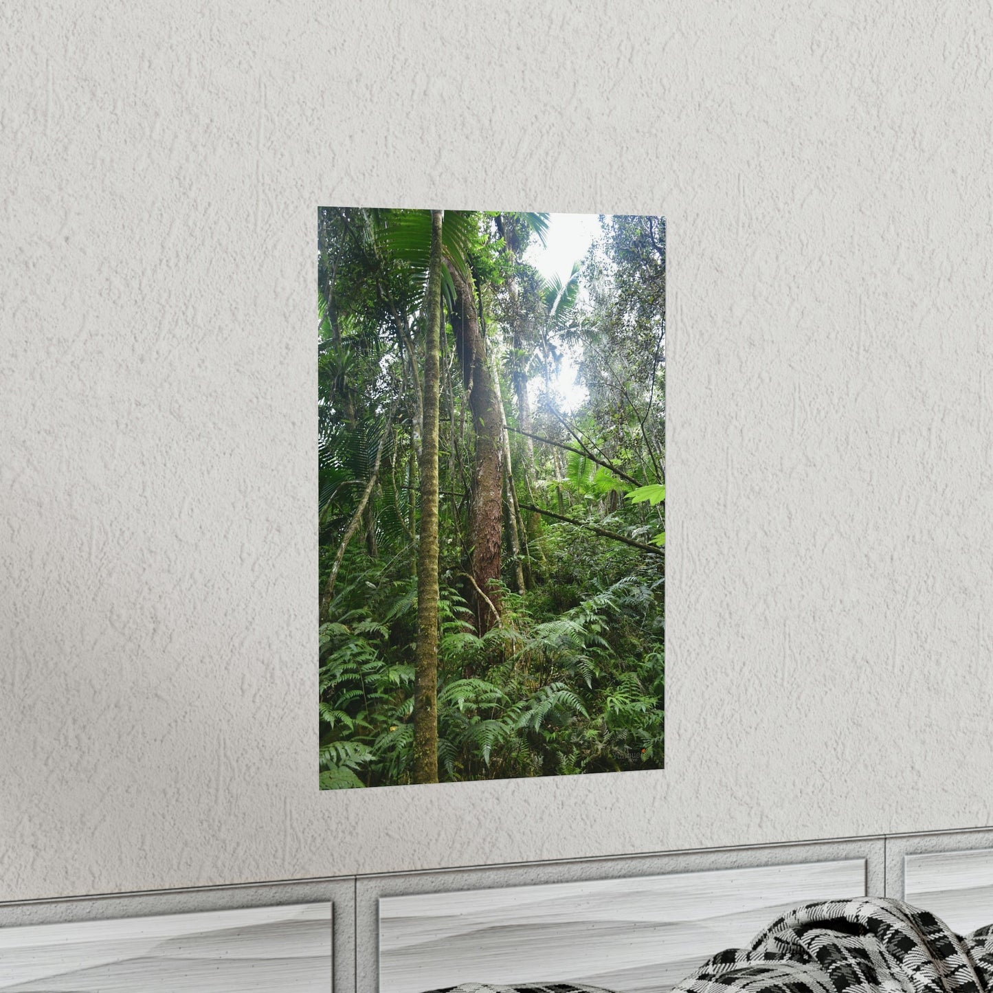 Premium Matte vertical posters - ﻿Bring home the most remote rarely-seen regions of the rainforest in Puerto Rico - El Toro Wilderness - Green Forest Home