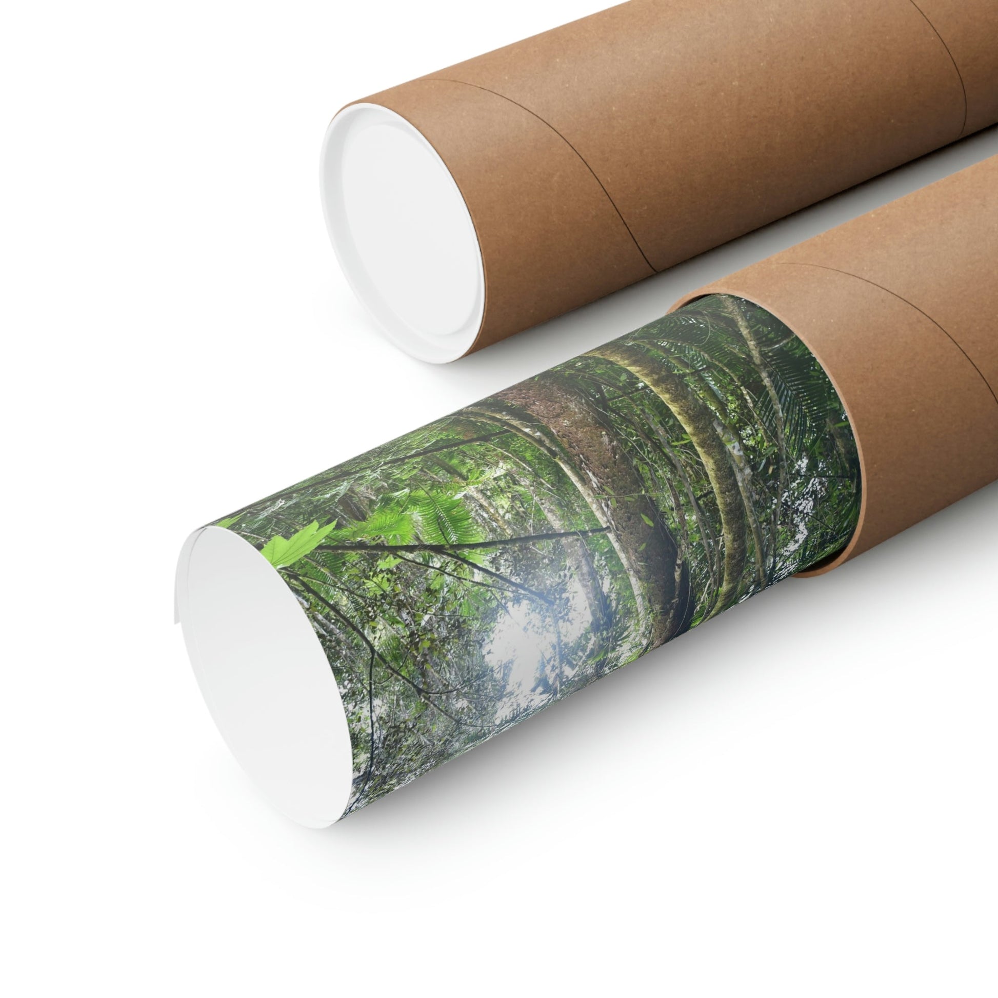 Premium Matte vertical posters - ﻿Bring home the most remote rarely-seen regions of the rainforest in Puerto Rico - El Toro Wilderness - Green Forest Home