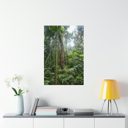 Premium Matte vertical posters - ﻿Bring home the most remote rarely-seen regions of the rainforest in Puerto Rico - El Toro Wilderness - Green Forest Home