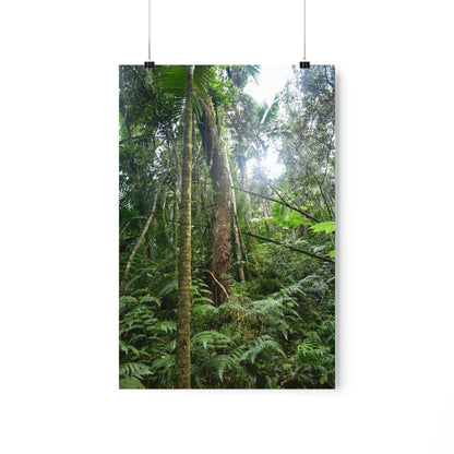 Premium Matte vertical posters - ﻿Bring home the most remote rarely-seen regions of the rainforest in Puerto Rico - El Toro Wilderness - Green Forest Home