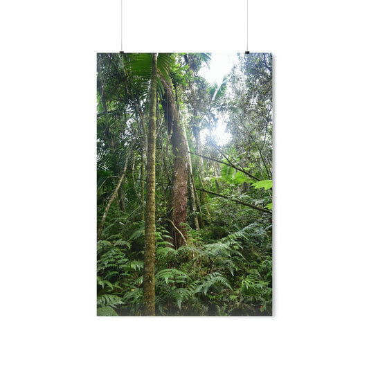 Premium Matte vertical posters - ﻿Bring home the most remote rarely-seen regions of the rainforest in Puerto Rico - El Toro Wilderness - Green Forest Home
